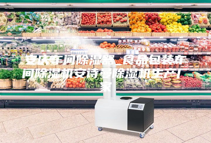 安庆车间除湿器_食品包装车间除湿机安诗曼除湿机生产厂家