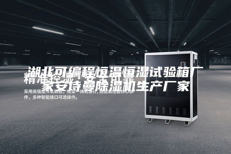 湖北可编程恒温恒湿试验箱厂家安诗曼除湿机生产厂家