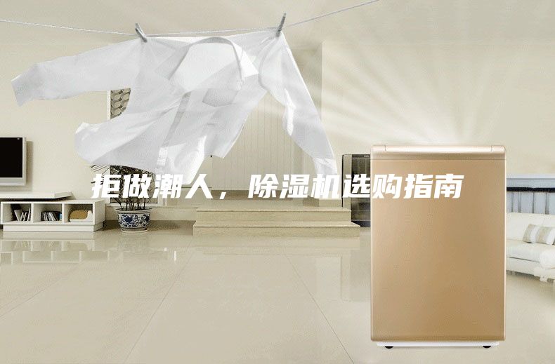 拒做潮人，除湿机选购指南