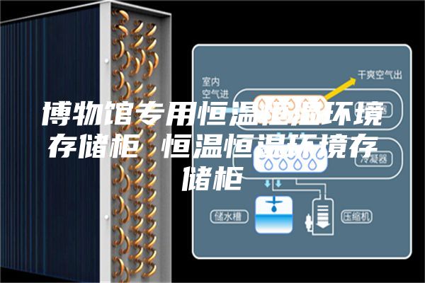 博物馆专用恒温恒湿环境存储柜 恒温恒湿环境存储柜