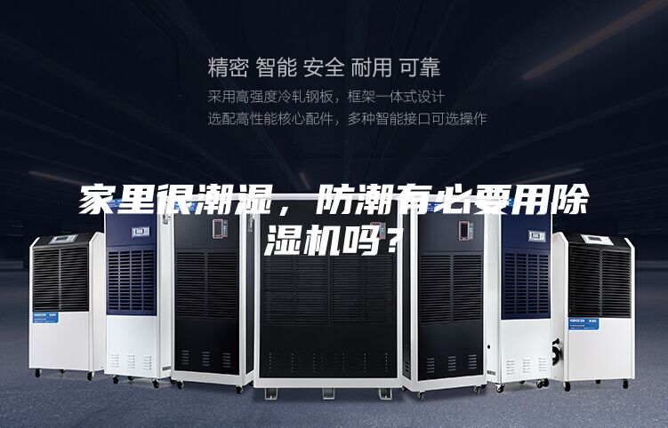 家里很潮湿，防潮有必要用除湿机吗？