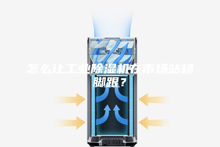 怎么让工业除湿机在市场站稳脚跟？