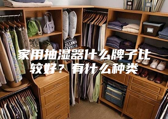 家用抽湿器什么牌子比较好？有什么种类