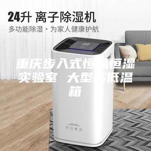 重庆步入式恒温恒湿实验室 大型高低温箱