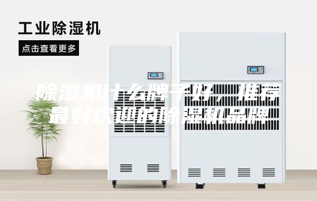 除湿机什么牌子好，推荐最好欢迎的除湿机品牌