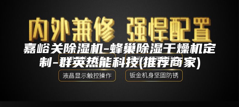 嘉峪关除湿机-蜂巢除湿干燥机定制-群英热能科技(推荐商家)