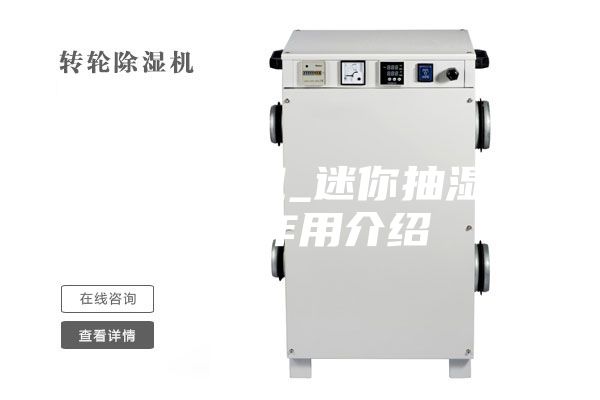 迷你抽湿机_迷你抽湿机原理作用介绍