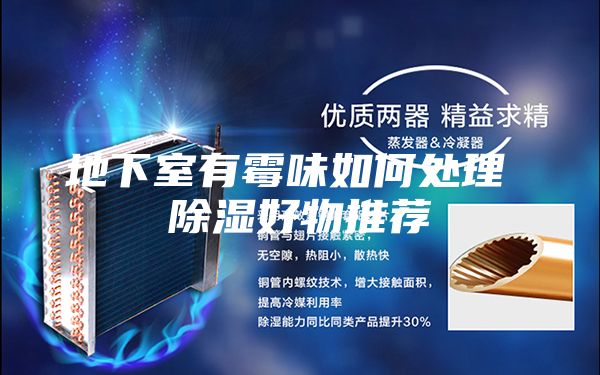 地下室有霉味如何处理 除湿好物推荐
