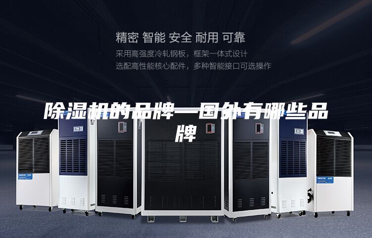 除湿机的品牌—国外有哪些品牌