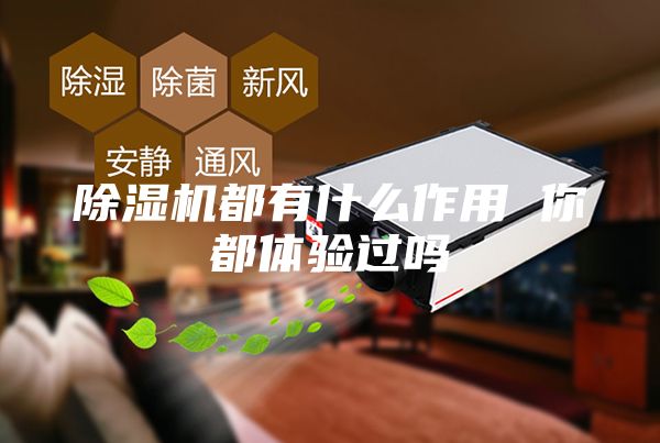 除湿机都有什么作用 你都体验过吗