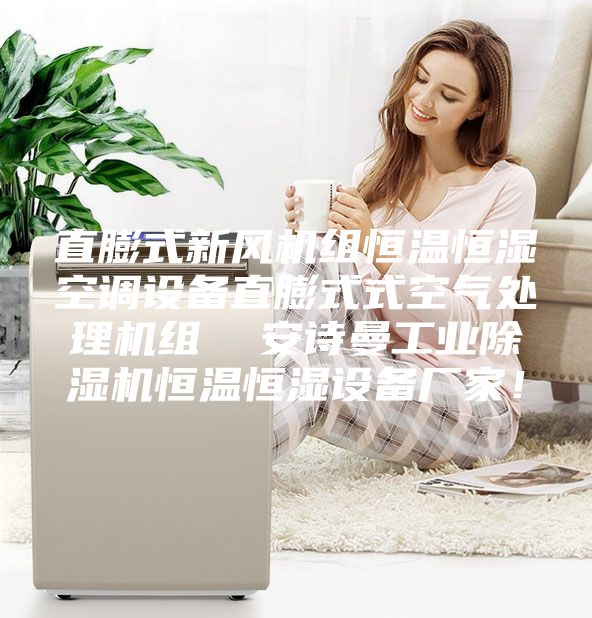 直膨式新风机组恒温恒湿空调设备直膨式式空气处理机组  安诗曼工业除湿机恒温恒湿设备厂家！