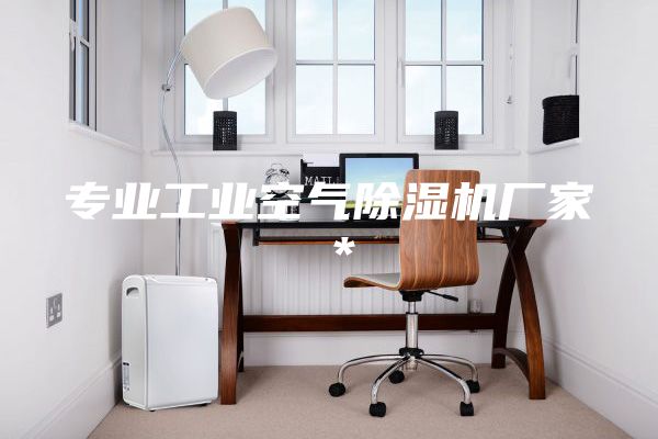 专业工业空气除湿机厂家＊