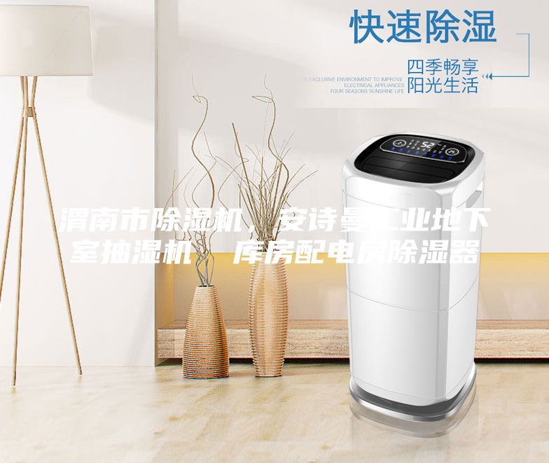 渭南市除湿机，安诗曼工业地下室抽湿机  库房配电房除湿器