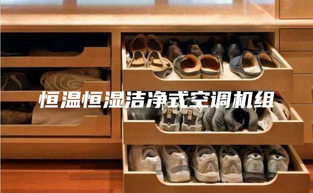 恒温恒湿洁净式空调机组