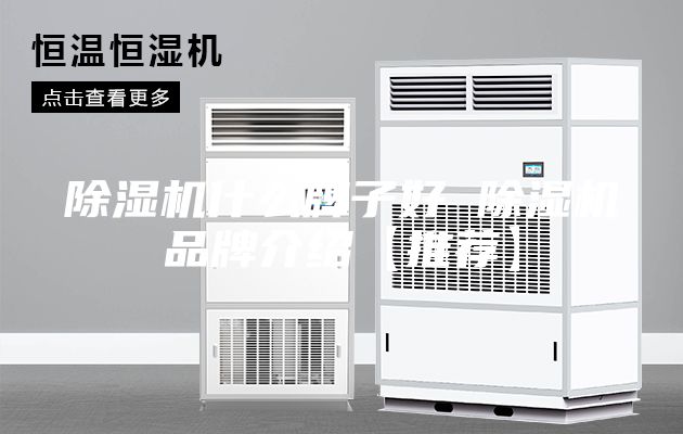 除湿机什么牌子好 除湿机品牌介绍【推荐】