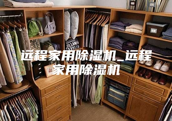 远程家用除湿机_远程家用除湿机