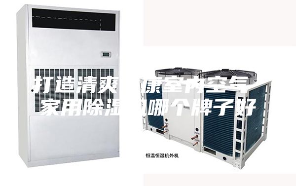 打造清爽健康室内空气 家用除湿机哪个牌子好