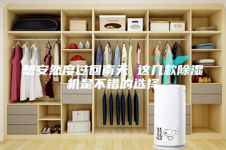 想安然度过回南天 这几款除湿机是不错的选择