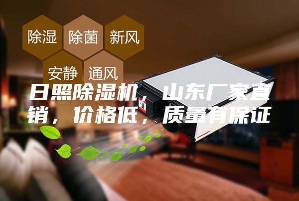 日照除湿机，山东厂家直销，价格低，质量有保证