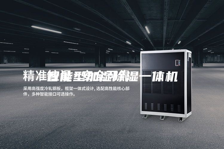 智能型加湿除湿一体机