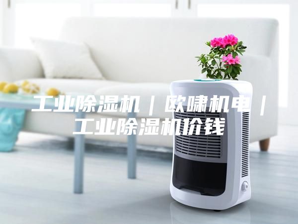工业除湿机｜欧啸机电｜工业除湿机价钱