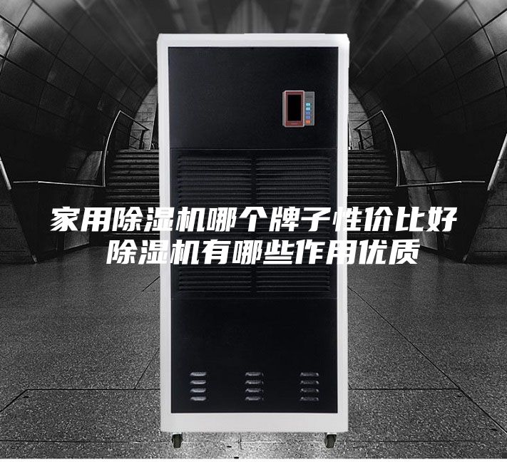 家用除湿机哪个牌子性价比好 除湿机有哪些作用优质