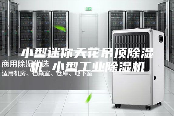 小型迷你天花吊顶除湿机 小型工业除湿机