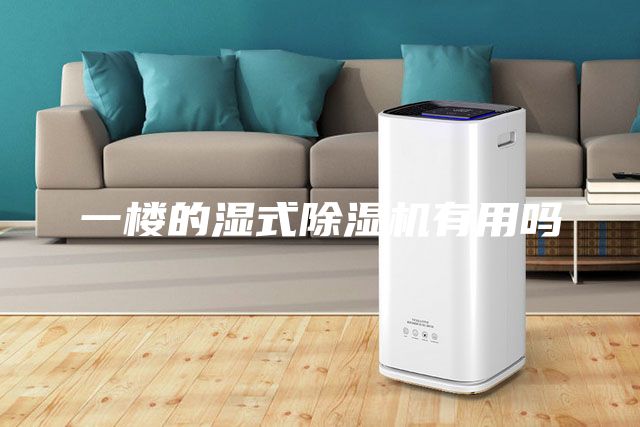 一楼的湿式除湿机有用吗