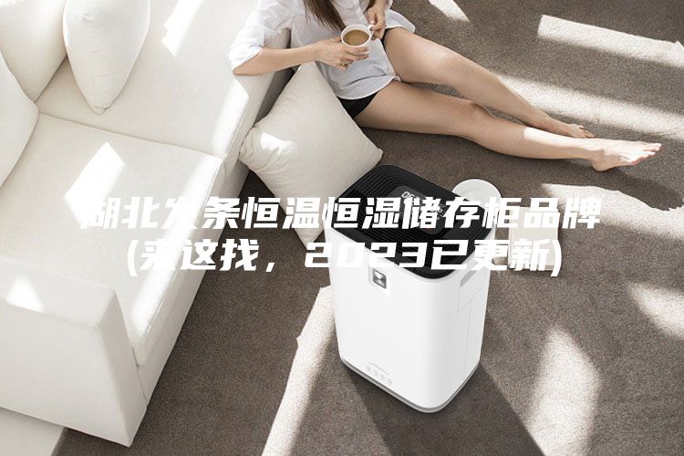 湖北发条恒温恒湿储存柜品牌(来这找，2023已更新)