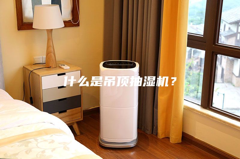 什么是吊顶抽湿机？