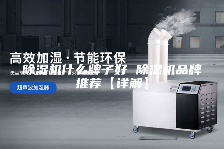 除湿机什么牌子好 除湿机品牌推荐【详解】