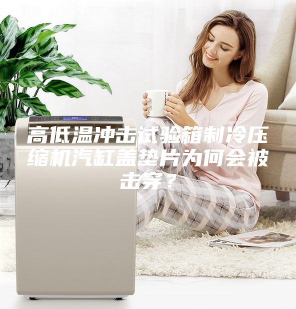 高低温冲击试验箱制冷压缩机汽缸盖垫片为何会被击穿？