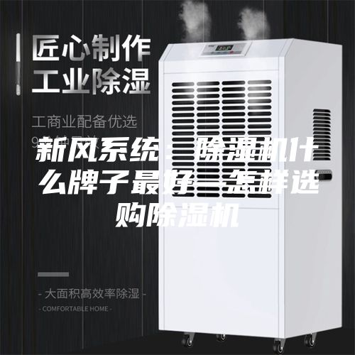 新风系统：除湿机什么牌子最好—怎样选购除湿机