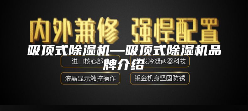 吸顶式除湿机—吸顶式除湿机品牌介绍