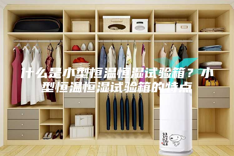 什么是小型恒温恒湿试验箱？小型恒温恒湿试验箱的特点