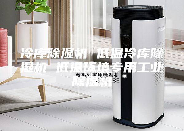 冷库除湿机 低温冷库除湿机 低温环境专用工业除湿机