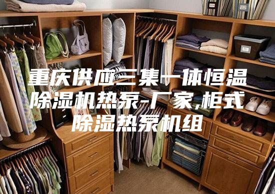 重庆供应三集一体恒温除湿机热泵-厂家,柜式除湿热泵机组