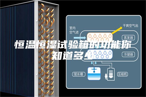 恒温恒湿试验箱的功能你知道多少