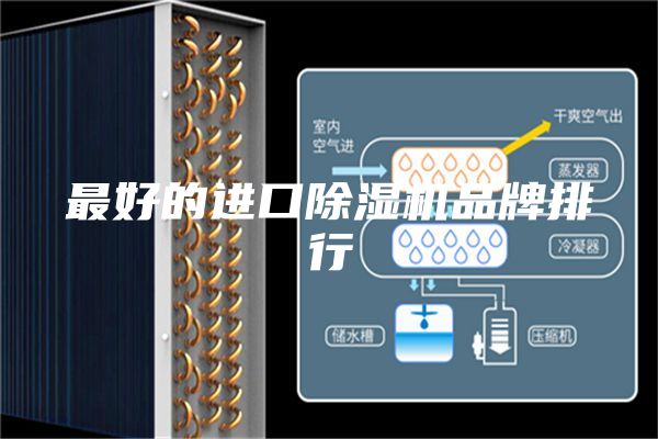 最好的进口除湿机品牌排行