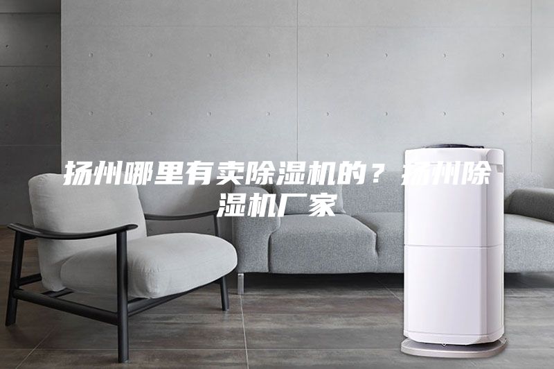 扬州哪里有卖除湿机的？扬州除湿机厂家