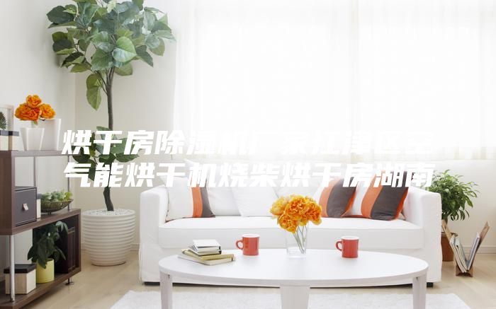 烘干房除湿机厂家江津区空气能烘干机烧柴烘干房湖南