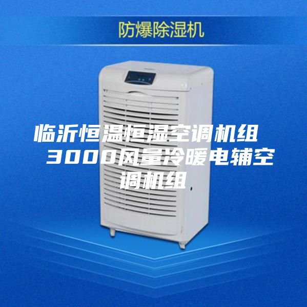 临沂恒温恒湿空调机组  3000风量冷暖电辅空调机组
