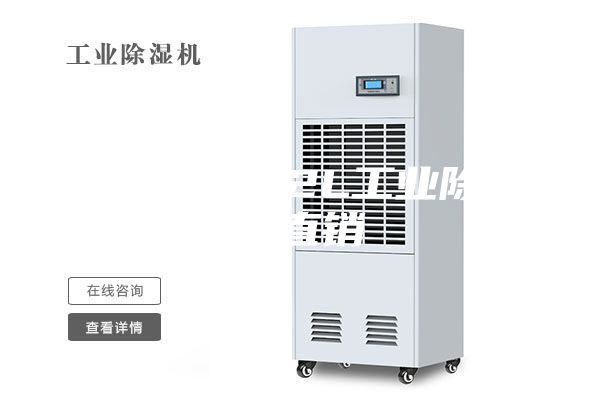 杭州10L-12L工业除湿机直销