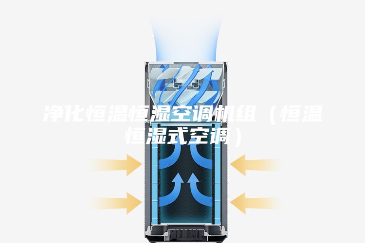 净化恒温恒湿空调机组（恒温恒湿式空调）