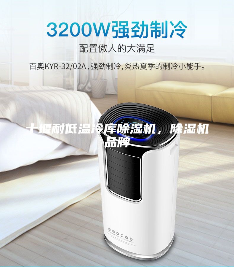 十堰耐低温冷库除湿机，除湿机品牌