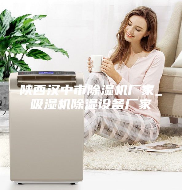 陕西汉中市除湿机厂家_吸湿机除湿设备厂家