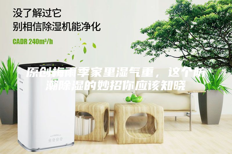 原创梅雨季家里湿气重，这个防潮除湿的妙招你应该知晓