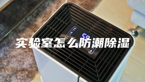 实验室怎么防潮除湿