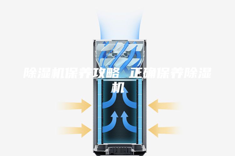 除湿机保养攻略 正确保养除湿机