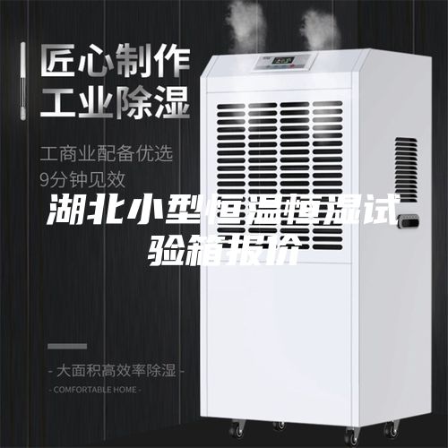 湖北小型恒温恒湿试验箱报价